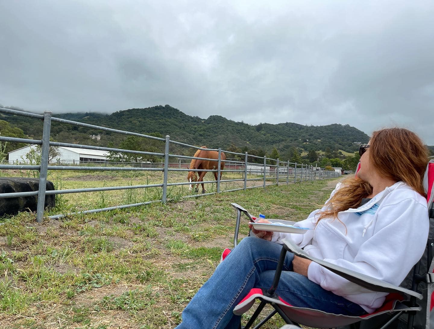 HealthyMindAndHorseTimeRelax