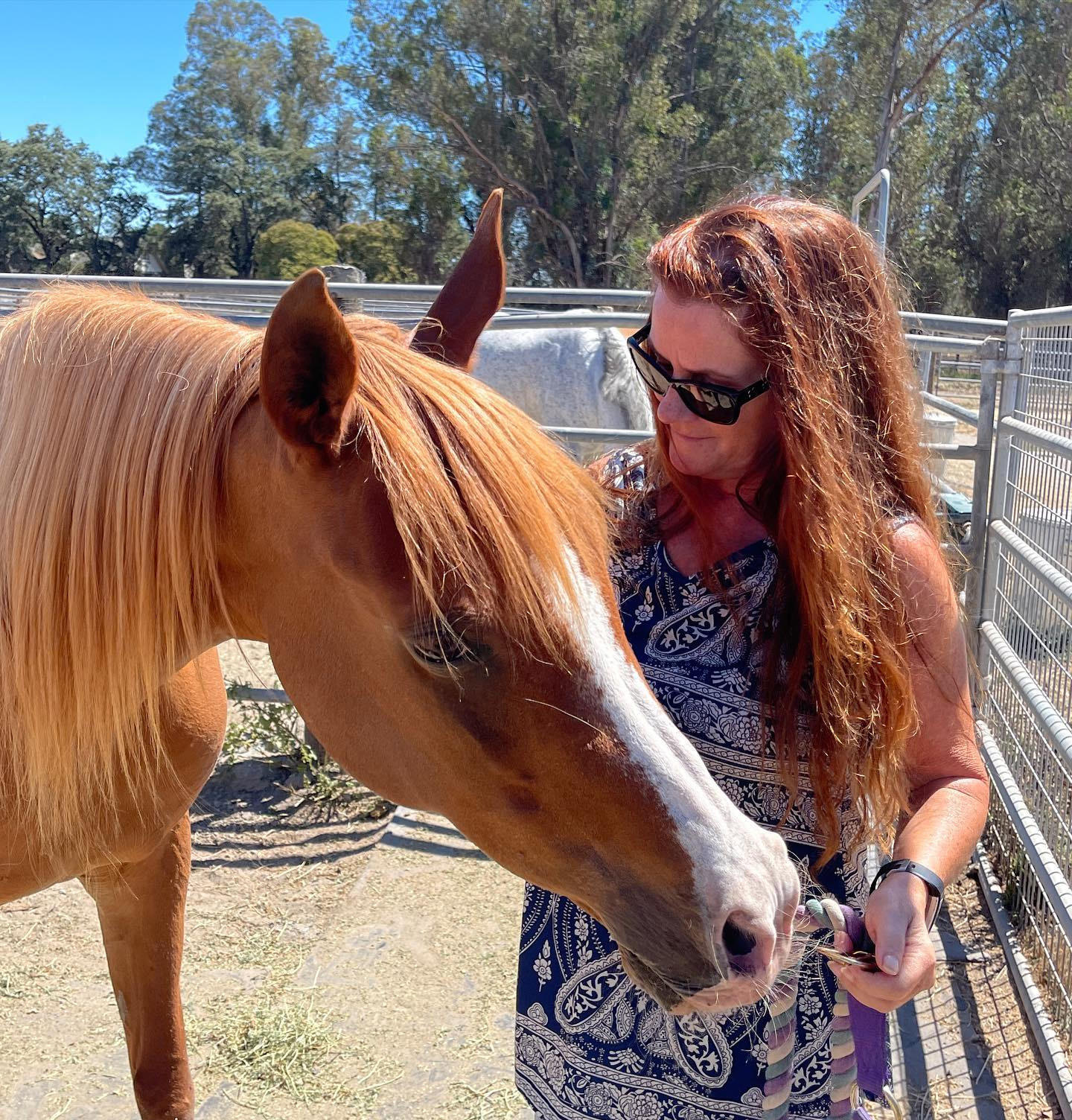 HealthyMindandHorseTimeEquineAdvantage