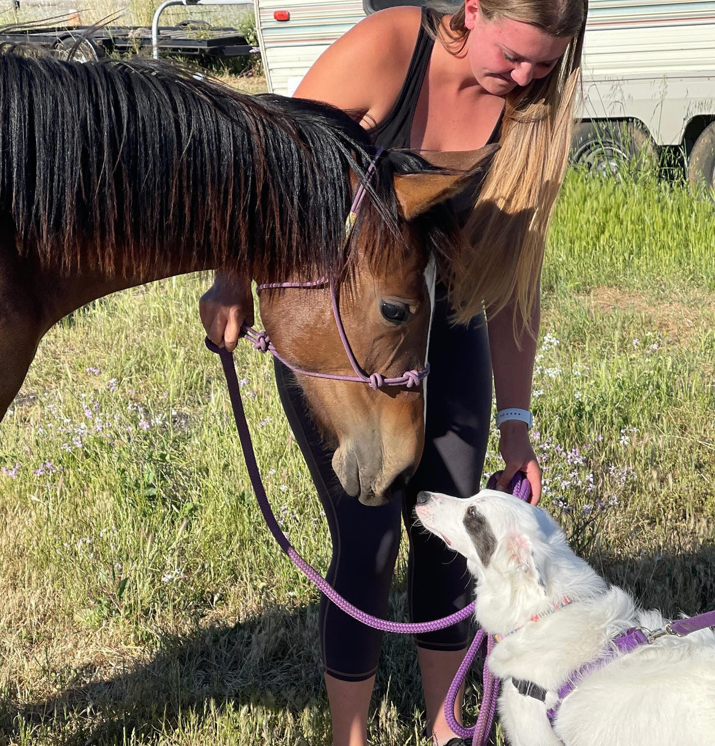 HealthyMindandHorseTimeHealing