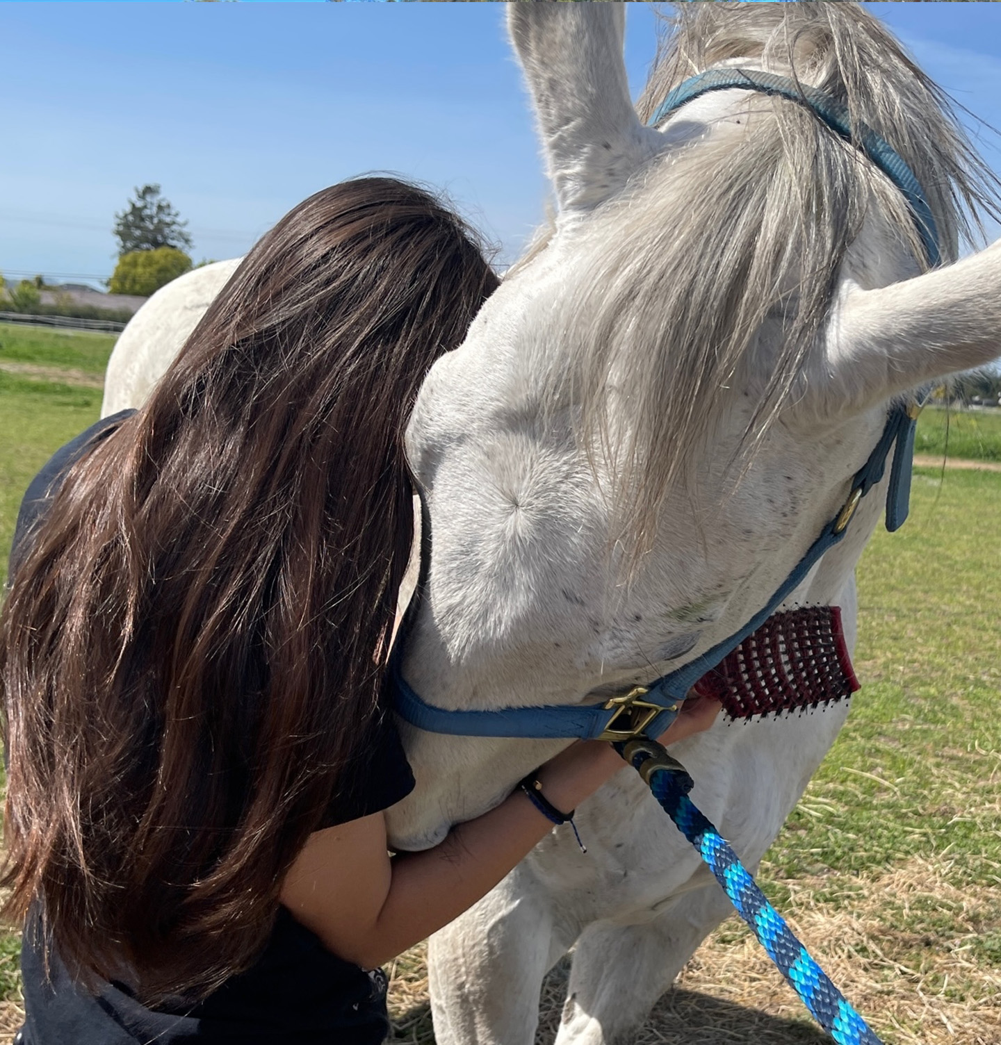HealthyMindandHorseTimeOurApproach