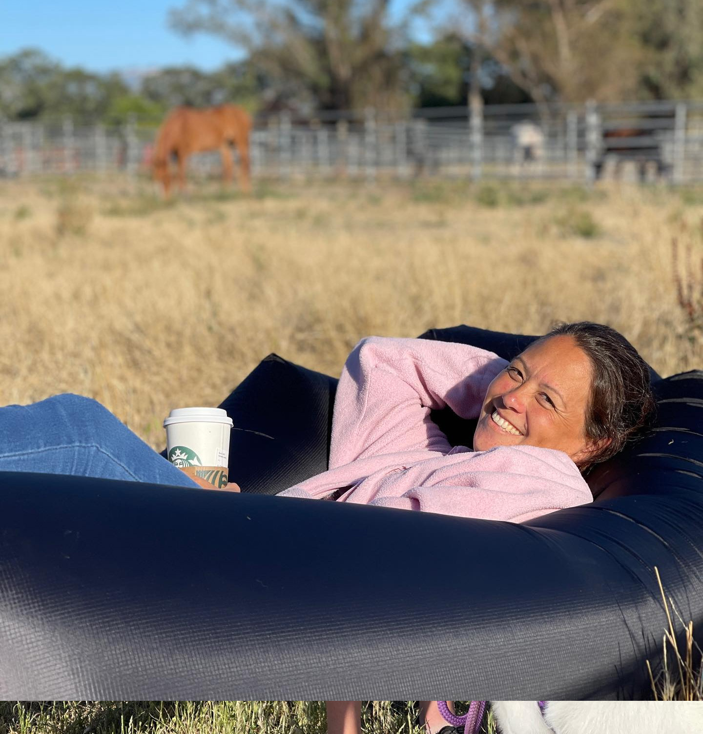 HealthyMindandHorseTimeRelaxingpasture