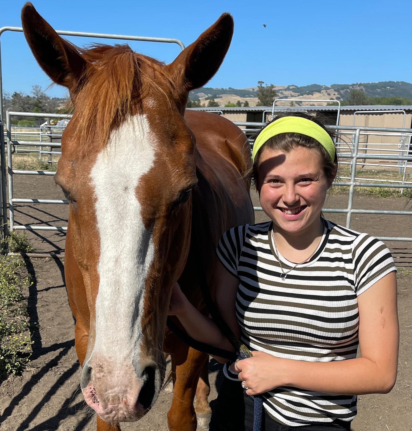 HealthyMindandHorseTimeTransfomativeforall